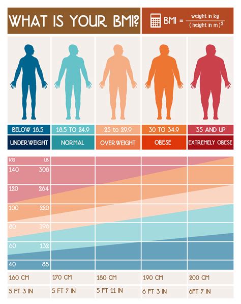 body fat percentage photos